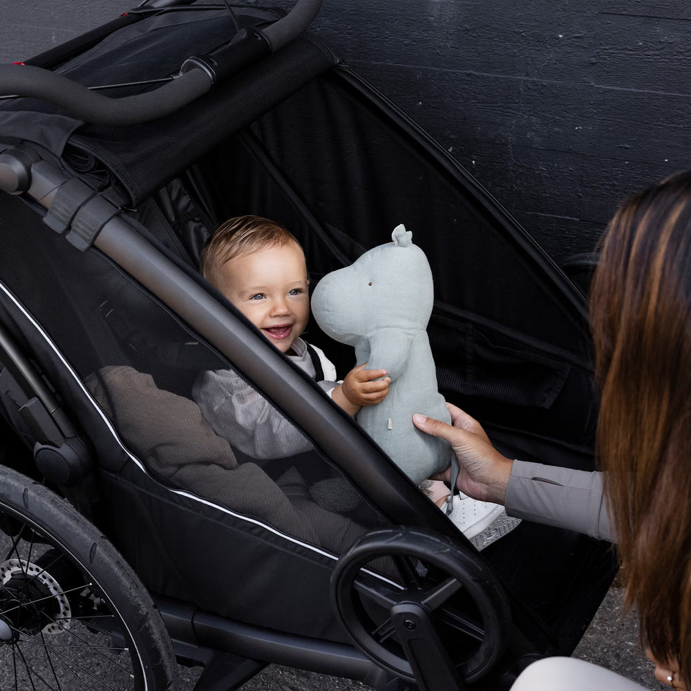 THULE Fahrradanhänger CHARIOT SPORT 2 Double / 2-Sitzer