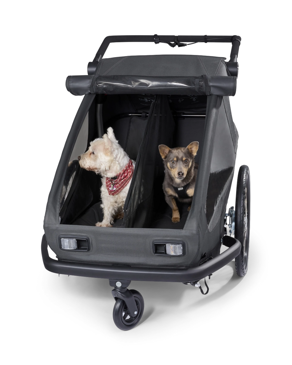 CROOZER YUUNA Dog Modul