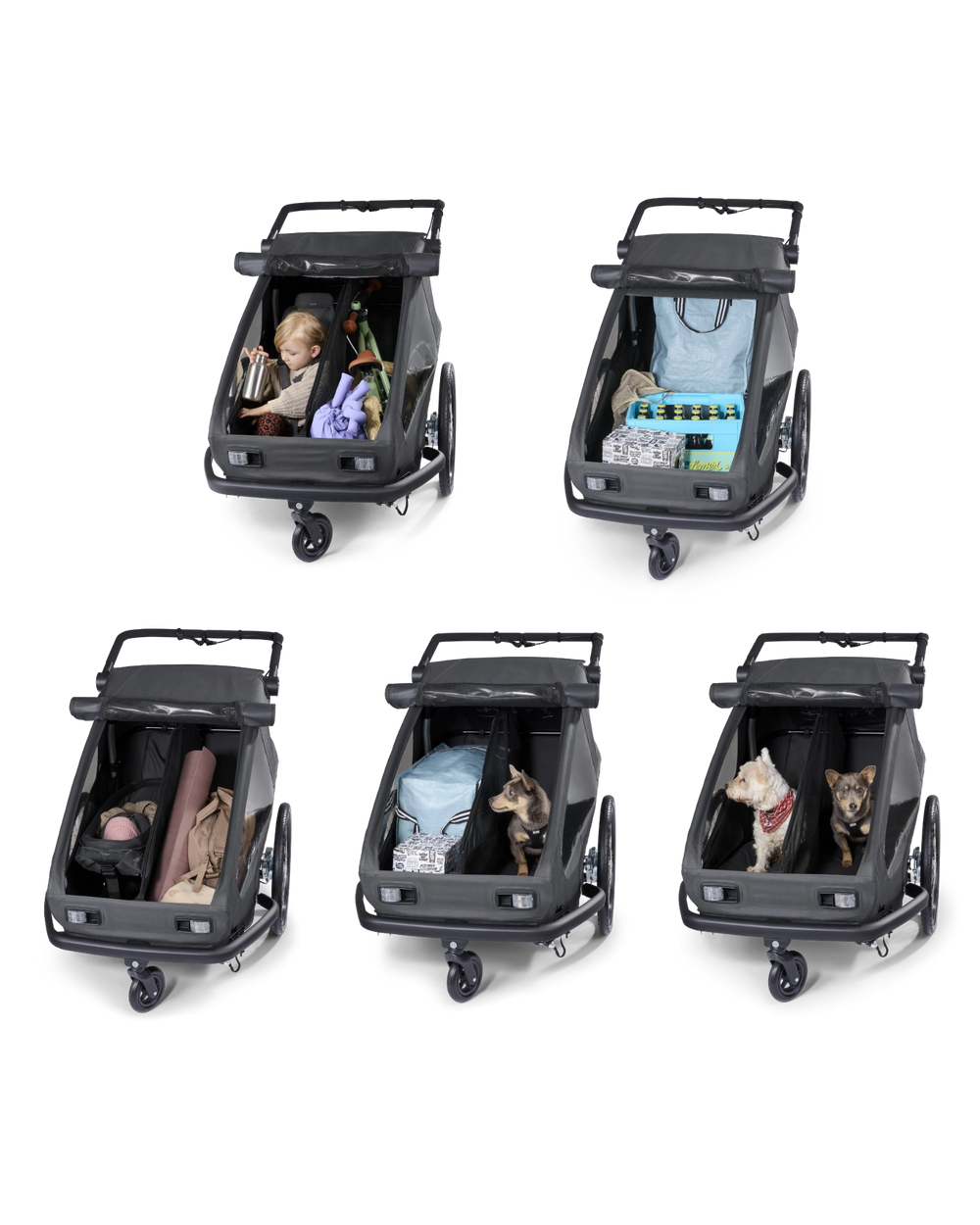 CROOZER modularer Fahrradanhänger YUUNA