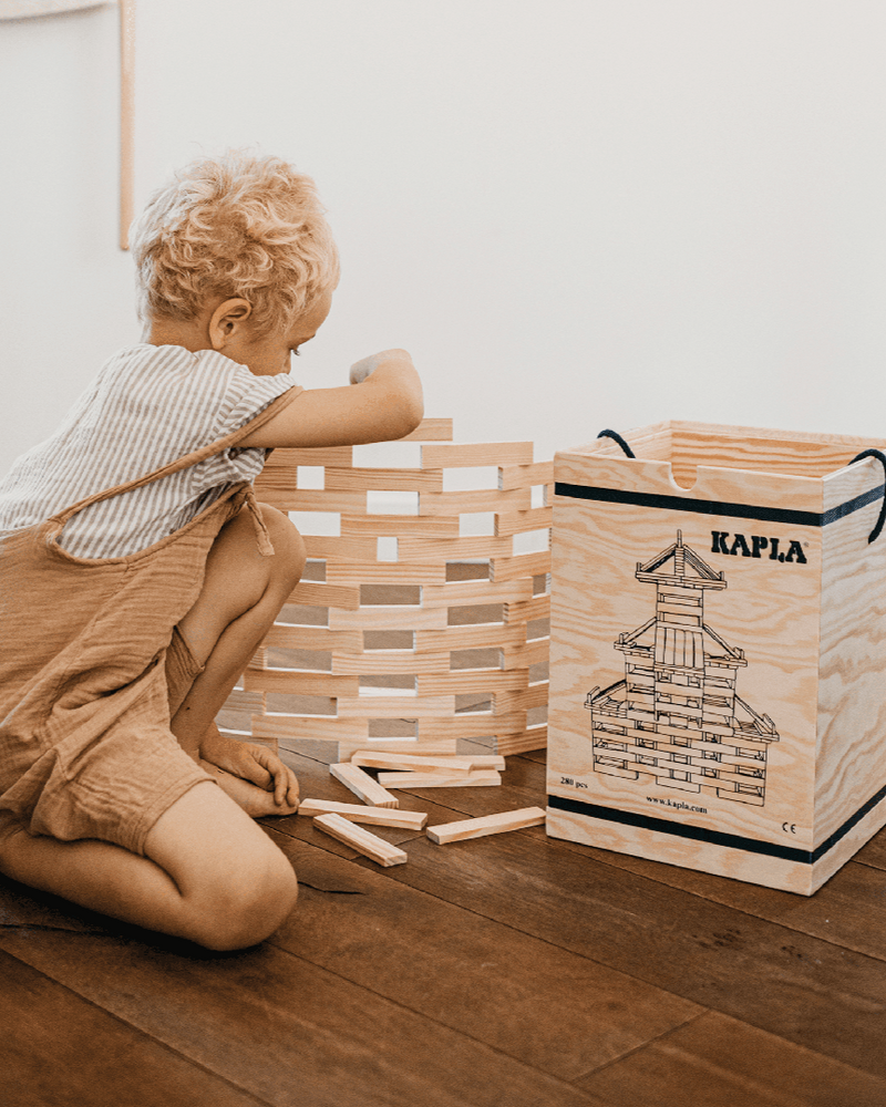 KAPLA 280er Kasten mit Kunstbuch KAPLA